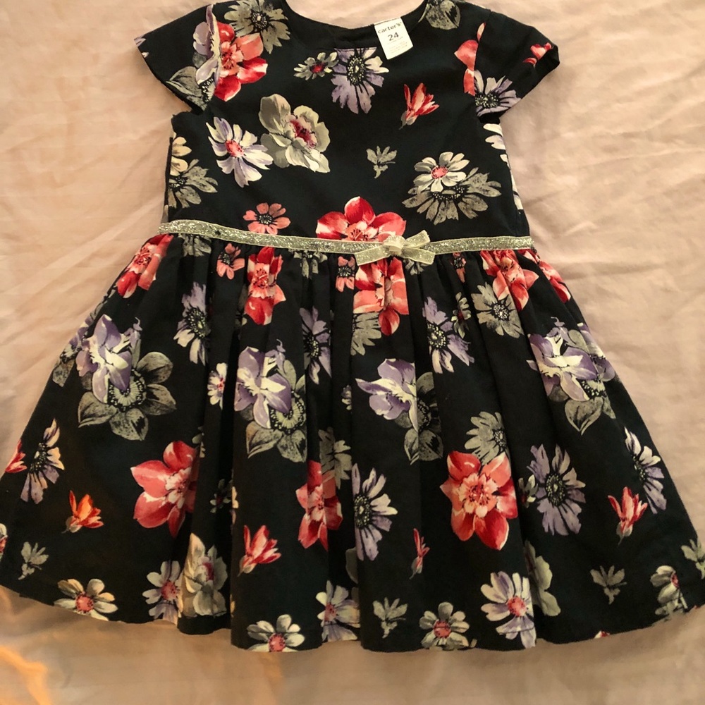 Carter’s baby girls formal dress size 24 months